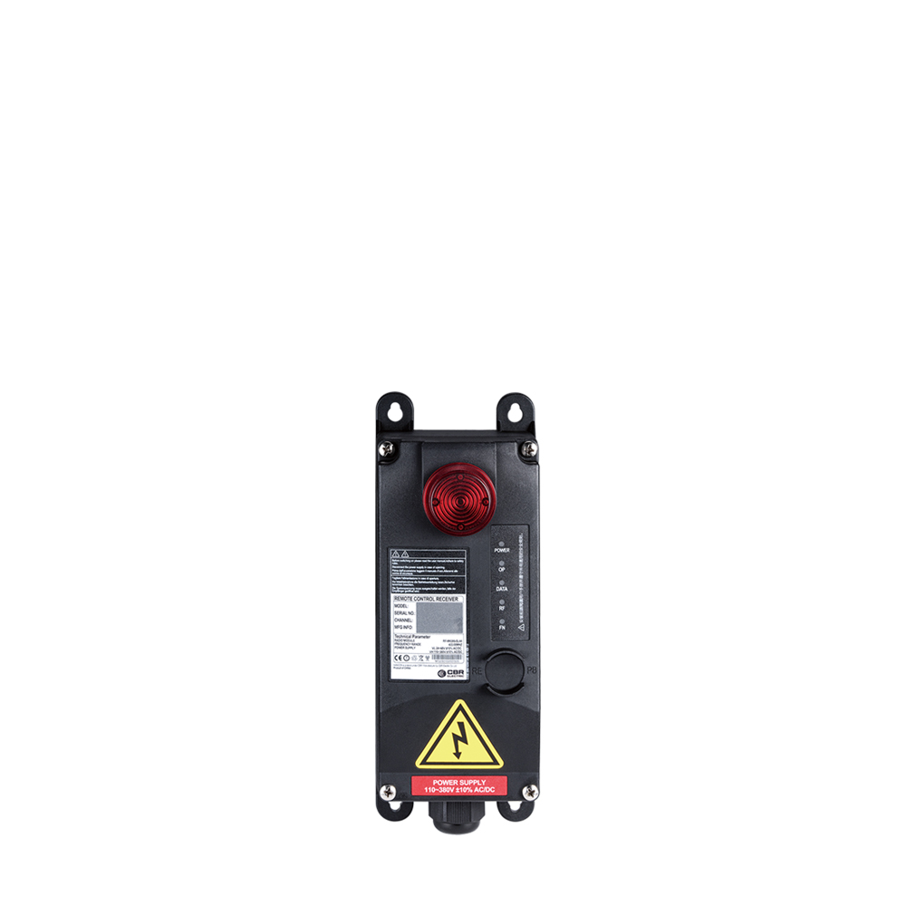 DCR-M2D